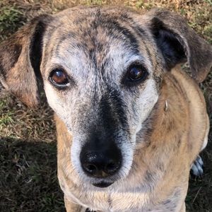 Meet your Posher, Posh